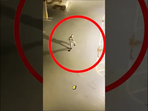 Si ves este payaso ¡ignóralo!😱