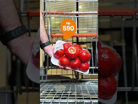 كل شي واكثر، بسعر اقل! كل الي تحتاجونه تلقونه عندنا مع اقوى الاسعار و العروض!