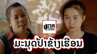 ສາວແມ່ຄ້າ Vs ປ້າຂ້າງບ້ານ | สาวแม่ค้า Vs ป้าข้างบ้าน