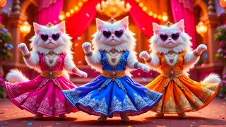 बिल्ली का डांस | Cat videos | funny kittens dance 😻💃| Videos for cats billi dance | #dancingcat #cat