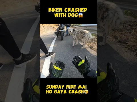 BIKER CRASHED WITH DOG😱.ACCIDENT HO GAYA😢. #modified #rr310 #rider #zx6r #kawasaki #monsterenergy