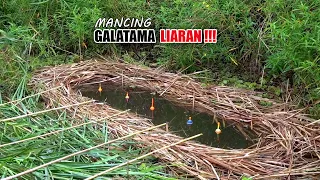 Jangan mancing emosi!!! Rejeki sudah ada yang mengatur syukuri aja #SG-222