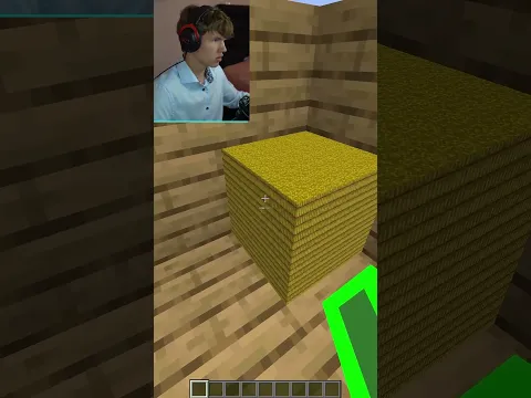 Иллюзия в Майнкрафт! 😯 #shorts #майнкрафт #minecraft #майн