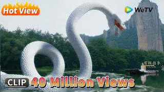 Clip | 医女邂逅千年蛇仙，签订契约携手降妖除魔【长白·灵蛇传 Legend of snake】