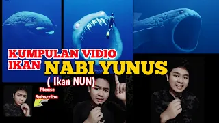 VIDEO ILUSTRASI GAMBARAN IKAN NUN ||.!! #ikannun #ikannunvspaus
