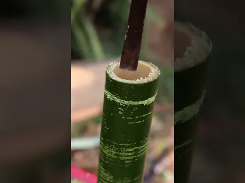 How to make bamboo pichkeri , use for holi [happy holi ❤️] #Shorts
