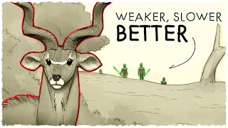 How Humans became the Ultimate Predator