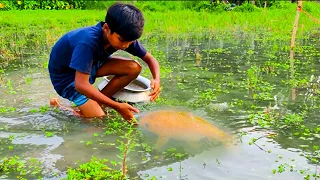 amazing hand fishing videos  - Smart boy catching carp fish by hand from mud water part - 25
