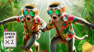 Me & My Monkey The Full Song (2x Speed) 🙈🙊🙉