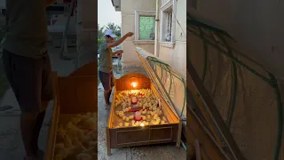 How I Turned a Bed into a Chick Brooder