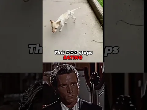 Dog Sad Moments 🥹💔🤧 #shorts