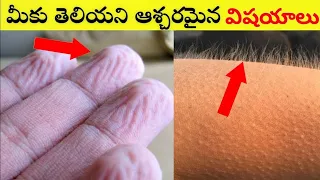 😯 మీకు తెలియని ఆశ్చర్యమైన విషయాలు | Dark facts telugu