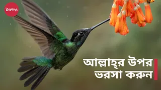আল্লাহ্‌র উপর ভরসা করুন | দুশ্চিন্তা ও ঋণ থেকে মুক্তি - শায়খ মুখতার আশ-শানক্বিতি