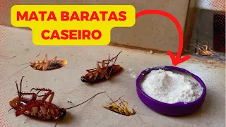 🔥VENENO PARA BARATA CASEIRO, Acaba mesmo!