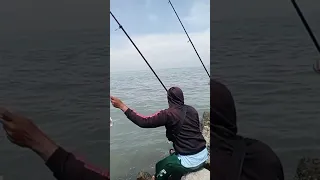 Mas gondrong mendapatkan ikan kiper #trending #viral #fyp 