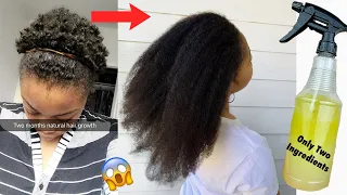 Only Two Ingredients Hair Treatment
