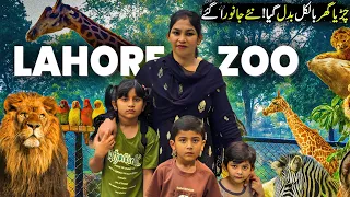Lahore zoo in 4k || European Style Zoo in pakistan || Travel with Miss asima hassan || Big zoo