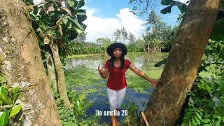 Pasang bubu ikan di rawa