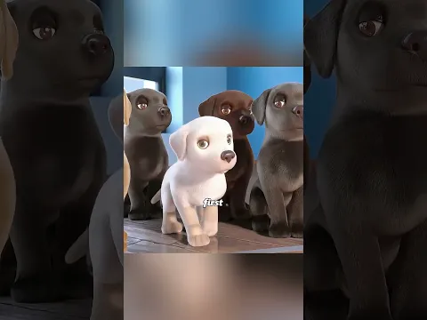 🐶 Todos Dudaron de Buddy… Hasta Que Salvó a una Niña Ciega 😭❤️ #shortsfeed #trending #peliculas