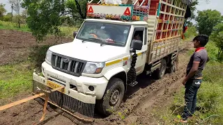 नाद कोथिंबीर चा💯💥☘️🍀