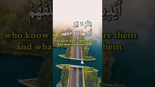 عبد الباسط عبد الصمد تلاوة مؤثرة// أية الكرسي حالات واتس اب قرآن كريم