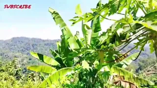Vlog keindahan alam