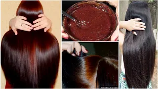 बालों मे ये लगाया, 1 भी सफ़ेद बाल नही पाएं Hair Color बिना मेहनत, पतले बाल घने/लम्बे हुए 15 दिनों मे|