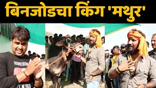 राहुल भाई पाटील मुलाखत 1001 | Rahul patil Mulakhat| Mathur bail 1001