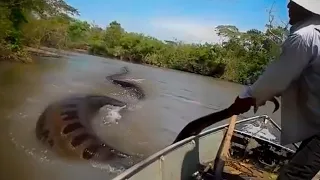 POR QUE O RIO AMAZONAS CRIA MONSTROS?