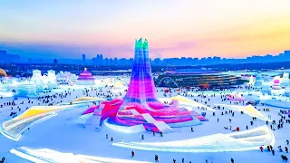 Experience the Harbin Ice Festival in 2026