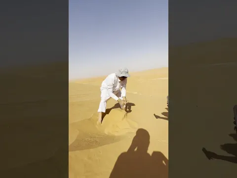 Meet Sand Fish 😱 In Saudi Arabia Desert #badge99