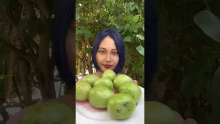 RUJAK MANGGA MUDA