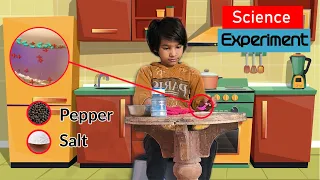 Munjya ne kiya namak aur mirch ko alag | Charge science experiment