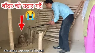 😭 Monkey rescue in Nepal 😭 बाँदर समाउँदा भयो ठूलो घटना । कमजोर मुटु भएका हरु ले न हेर्नु होला