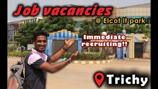 IT Job vacancy in Trichy‼️ Immediate Opening jobs trichy⁉️