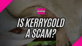 Is Kerrygold Butter a Scam?