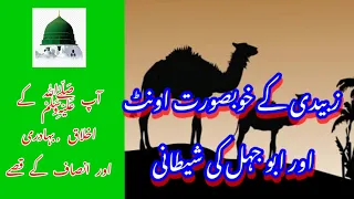 This video tells the story of an Arab trader who comes to the market to sell his camels.