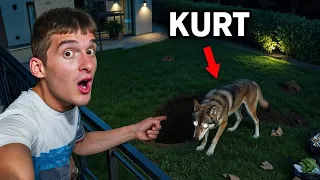 GECE EVİME KURT GİRDİ *bittim*