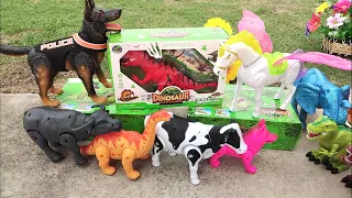 ไดโนเสาร์3สีกับเพื่อนช้าง ม้า วัว ควาย หมาในสวน cow buffalo elephant horse dog dinosaur 3 color