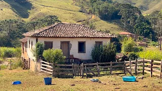FARINHA DE MILHO DE MONJOLO E A CASA DE 200 ANOS - ALAGOA MG