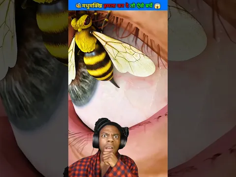 If a Bees Attacks You, What Should you do? 😱