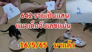 4งวดติด"เเมวเด็กจับหวยเเม่น642ตรงๆๆ"ต้องตามต่อ16/5/65"นัวร์นัวร์"& ดีเวอร์"