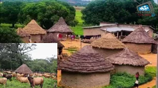 ALMAMY BOCAR BIRO fut le dernier Almamy du Fouta.