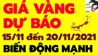 Giá vàng hôm nay dự báo từ ngày 15/11,16/11,17/11,18/11,19/11 đến 20/11/2021-SJC-9999-24K-18K-14K10K
