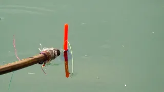 Best fishing in Anwarpur area