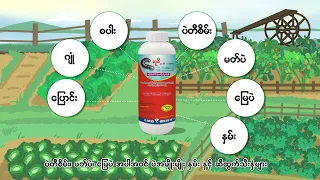 ပိုးသတ်ဆေး "လူစီ ၅၀၅ အီးစီ" (Luci 505 E )