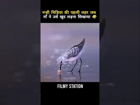माँ ने उसे खुद लड़ना सिखाया