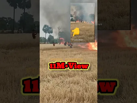 #video 😭कोई आग को जल्दी बुझाओ न।😭 Pura Fasal Jal Gaya । Aag Ko Jaldi Bujhao । #short #shorts😭