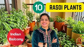 Grow Your Own Masala Box! 🌶️ 10 Must-Have Kitchen Plants