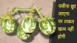 चमत्कार को नमस्कार? साधारण पौधा समझकर फेकने की भूल मत करना//